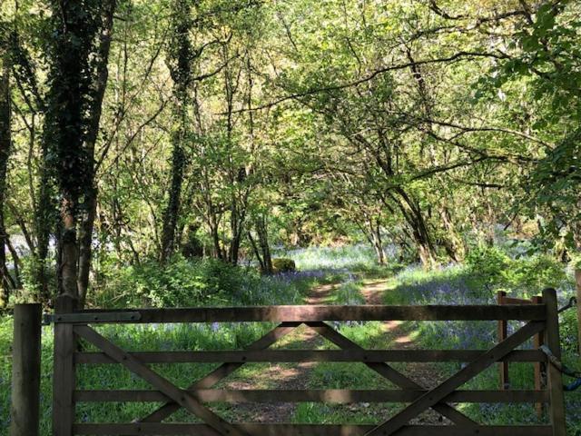 Down The Garden Path Vintage Caravan B&B , Dartmoor Newton Abbot Luaran gambar