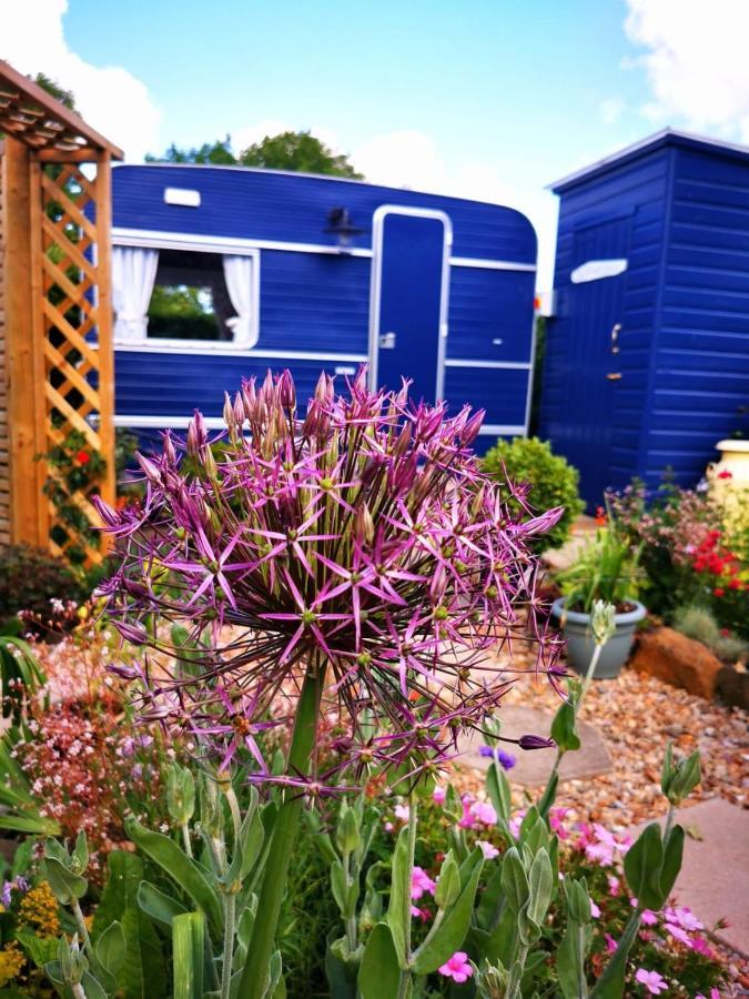 Down The Garden Path Vintage Caravan B&B , Dartmoor Newton Abbot Luaran gambar