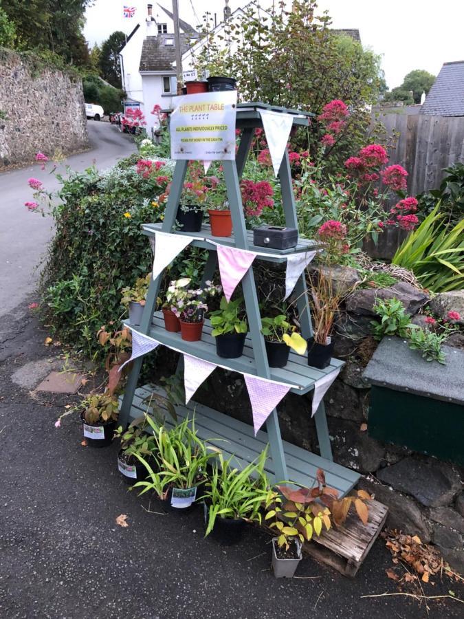 Down The Garden Path Vintage Caravan B&B , Dartmoor Newton Abbot Luaran gambar