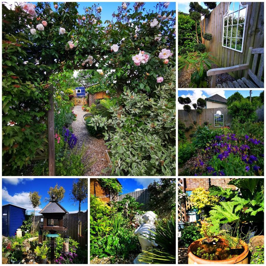 Down The Garden Path Vintage Caravan B&B , Dartmoor Newton Abbot Luaran gambar