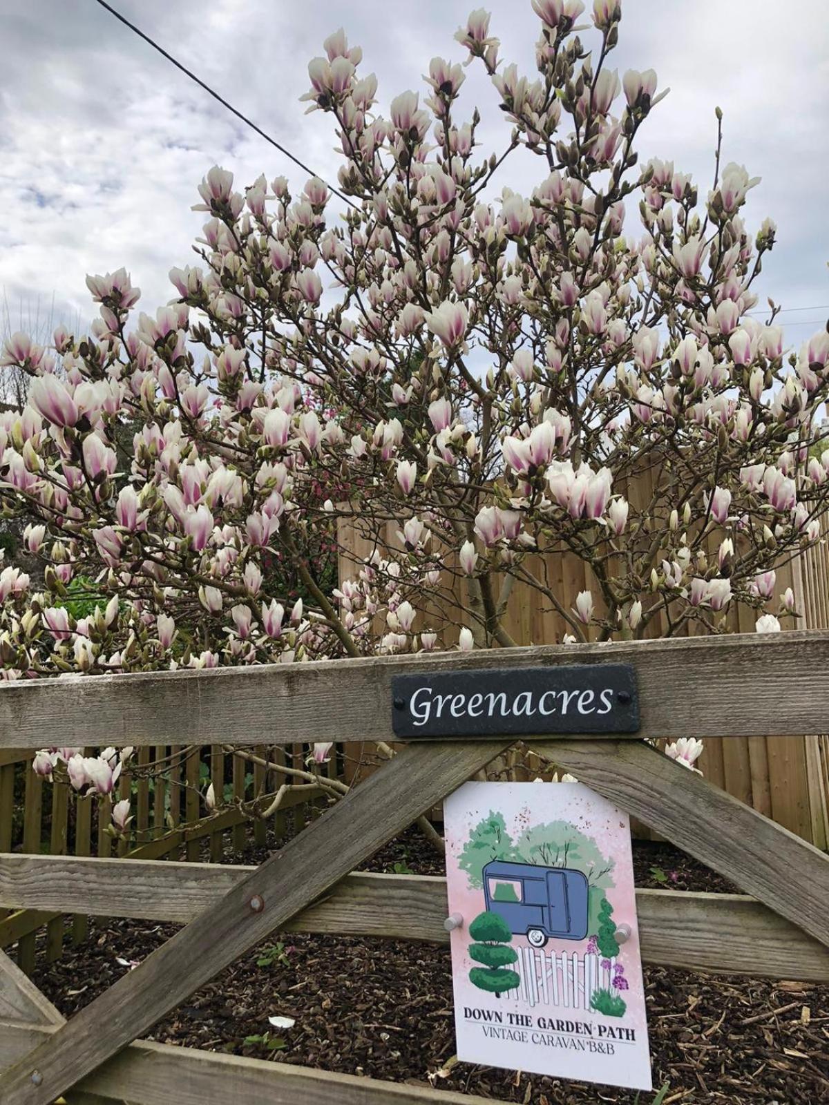 Down The Garden Path Vintage Caravan B&B , Dartmoor Newton Abbot Luaran gambar